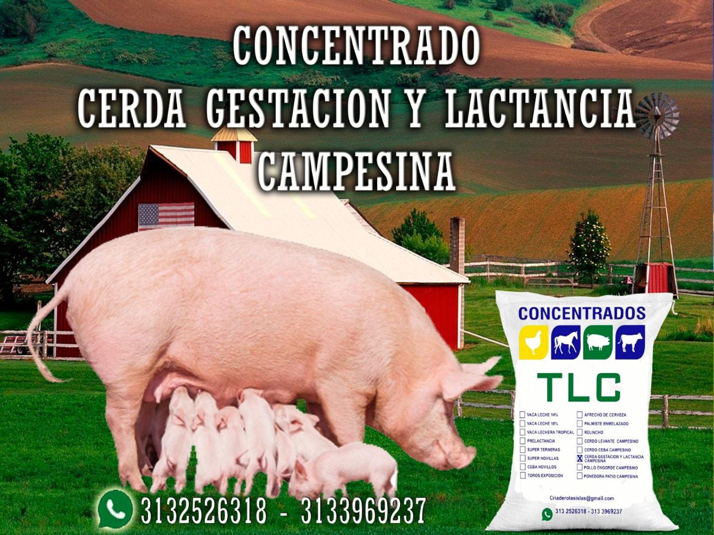 CERDA GESTACION Y LACTANCIA TLC