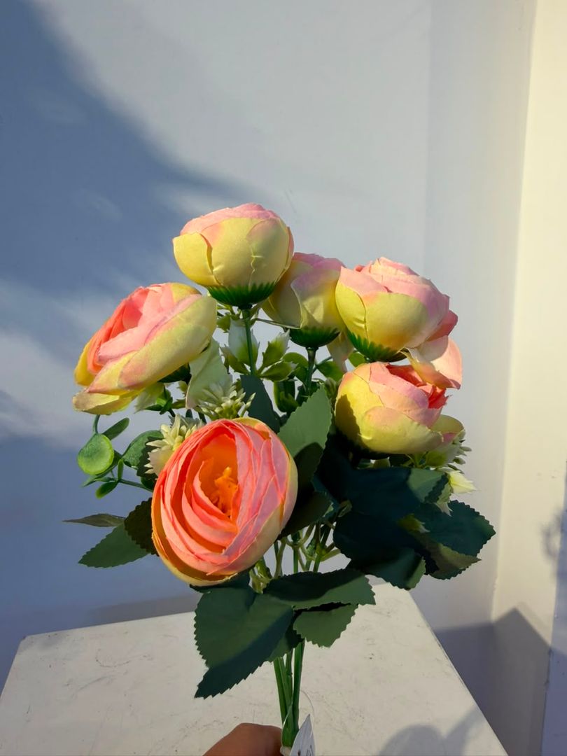 PEONIA X 6 CONFETI
