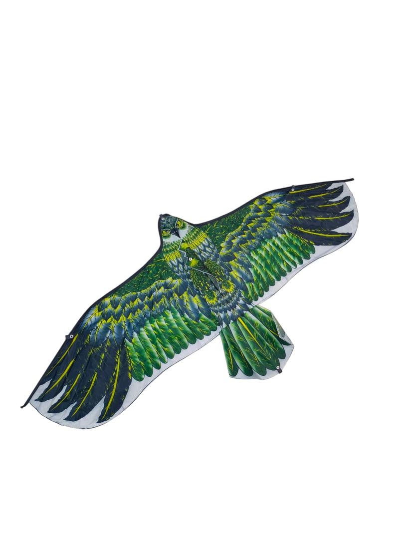cometa águila 