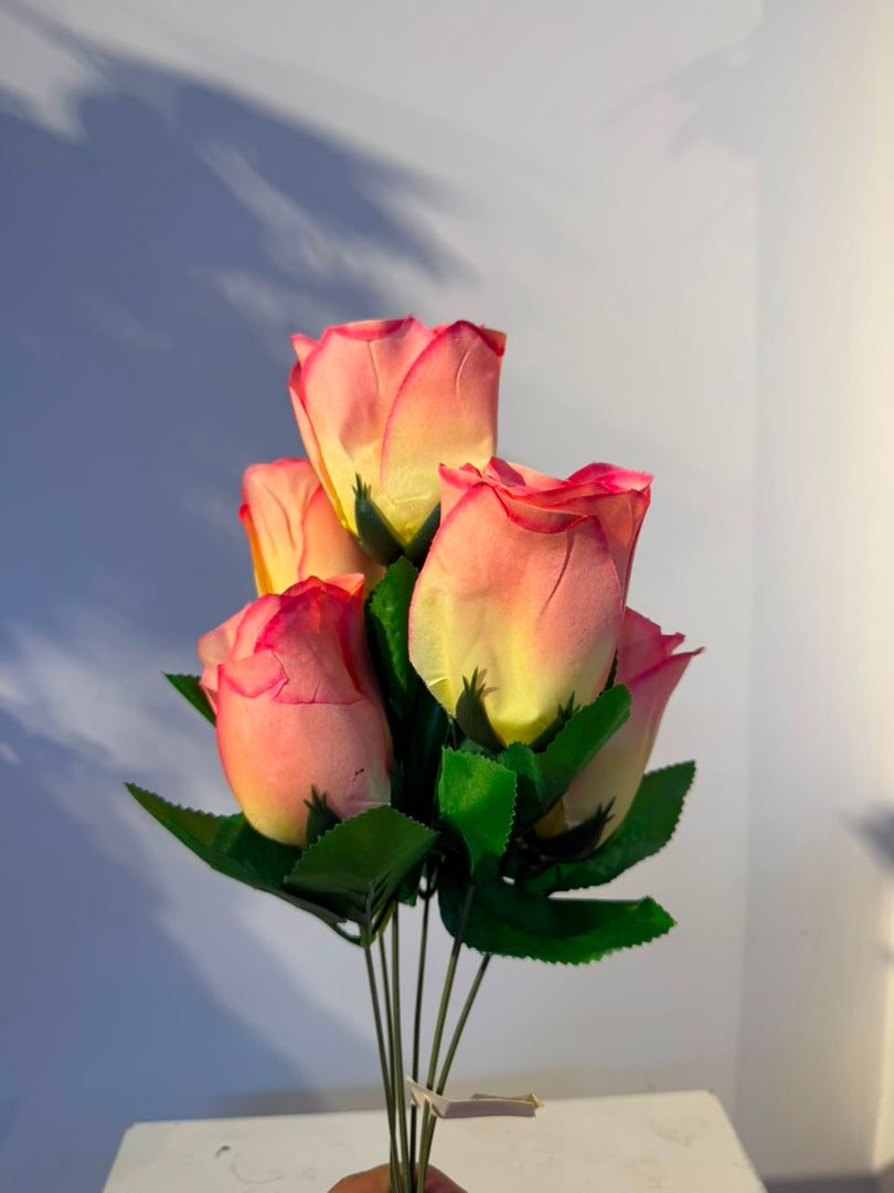 BOTON X 6 ROSADO