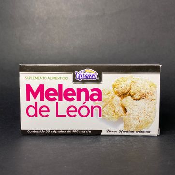 Melena de león - imagen 1