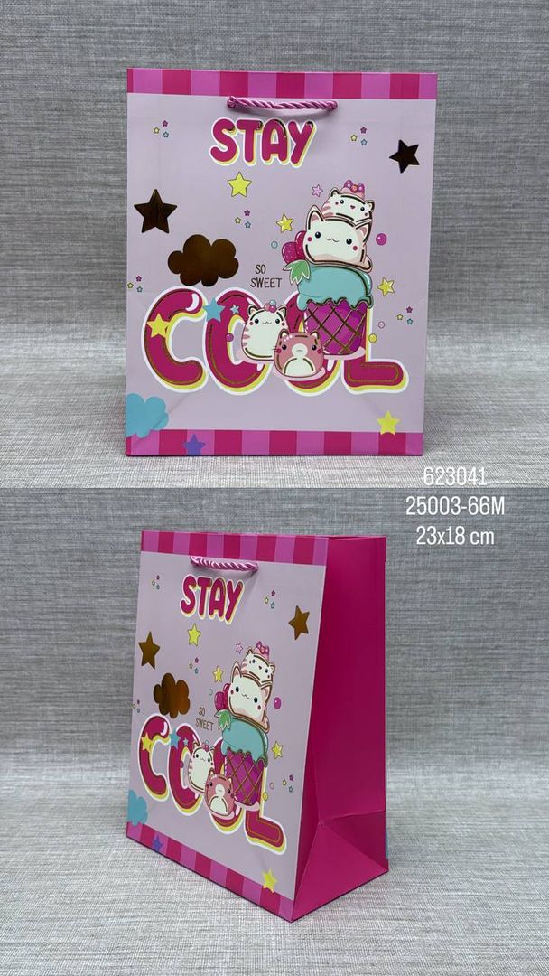 BOLSA DE REGALO SURTIDA DE GATOS 23x18 CM