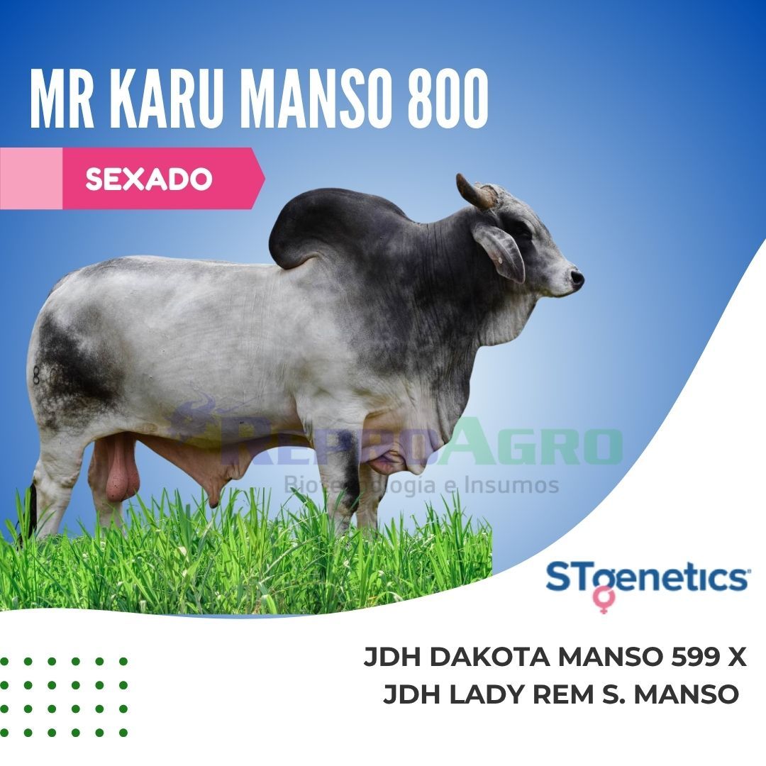 MR KARU MANSO SEXADO