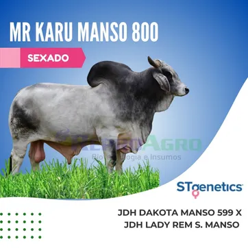 MR KARU MANSO SEXADO - imagen 1