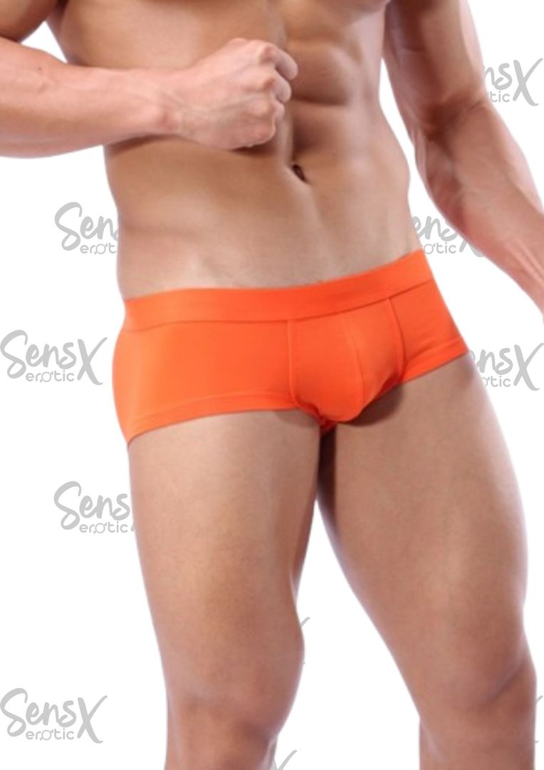 calzoncillos tipo brief para hombre