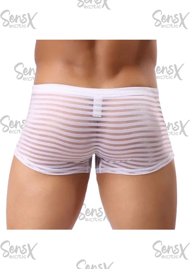 Bóxer Transparente con Diseño a Rayas