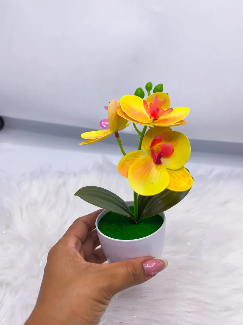 MATERO ORQUIDEA JM013