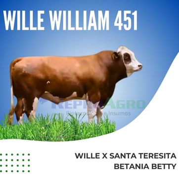 WILLE WILLIAM 451 - imagen 1