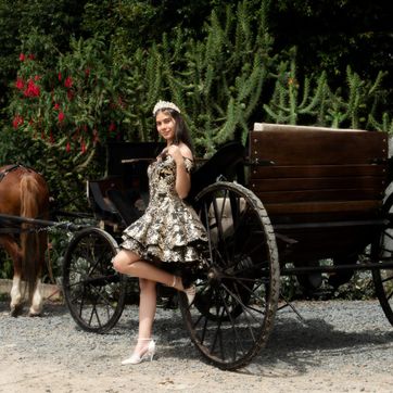 SESION FOTOGRAFICA CON CARRUAJE Y CABALLO EN NUESTRO  CRIADERO - imagen 1