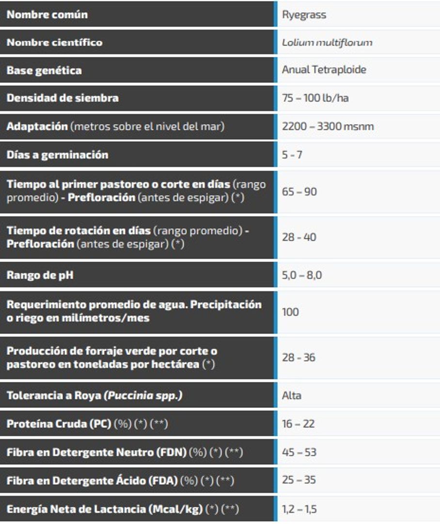 Ryegrass Bartigra (Anual tetraploide)x Kilo