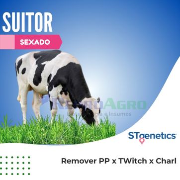 SUITOR SEXADO - imagen 1