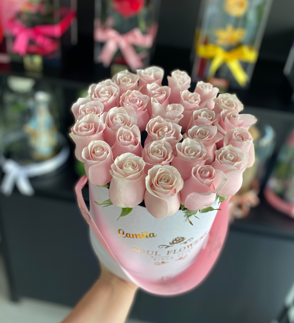 CAJA REDONDA FREESIA