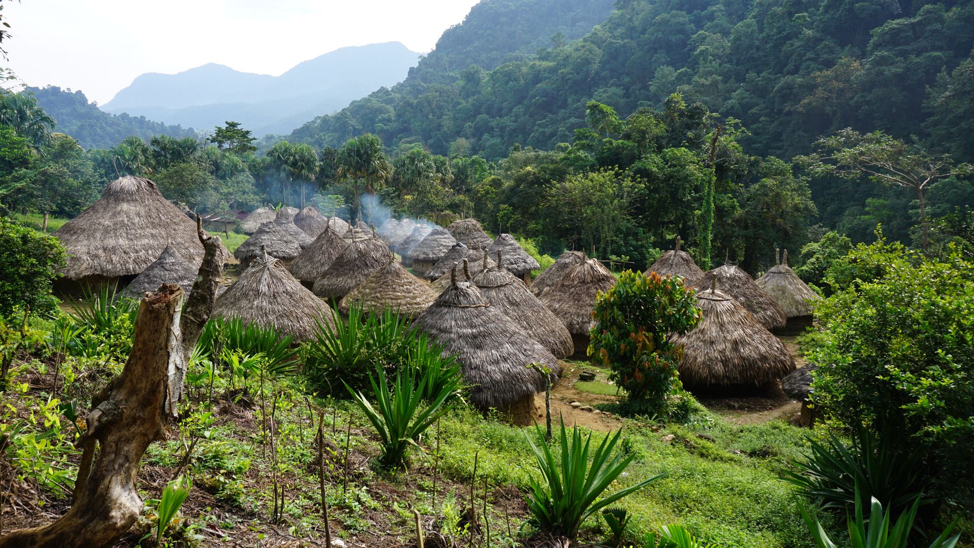 CIUDAD PERDIDA 4 DIAS