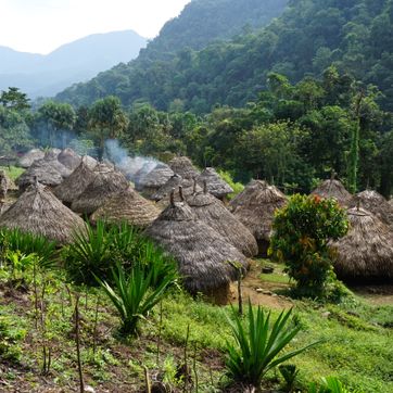CIUDAD PERDIDA 4 DIAS - imagen 2