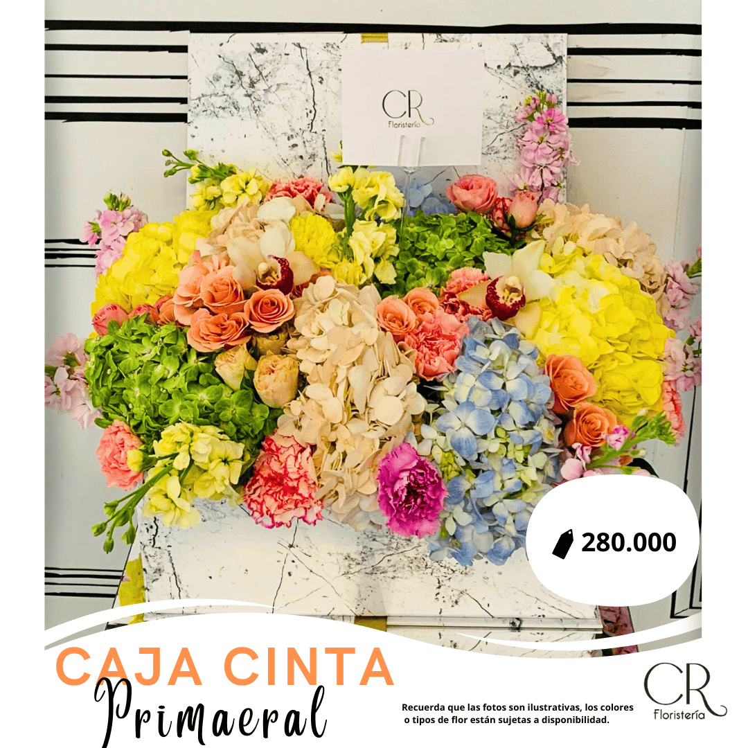 Caja Cinta Deluxe Primaveral