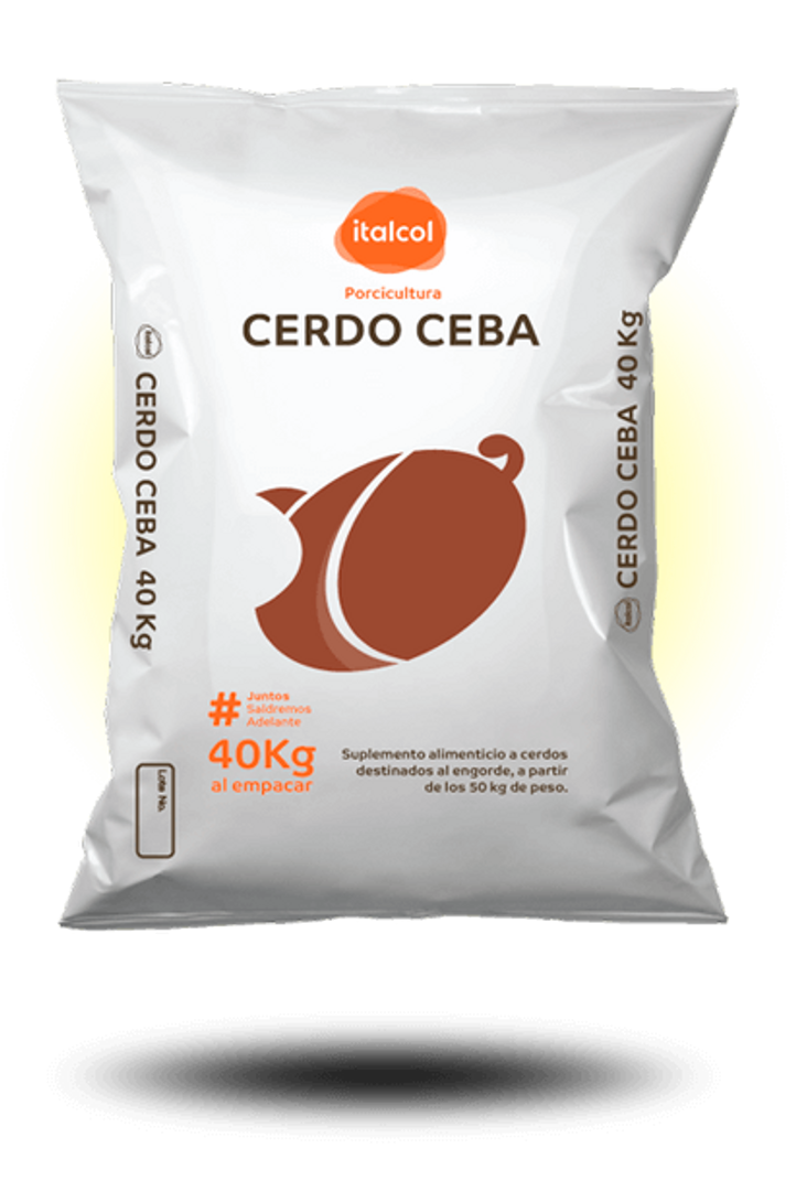 Cerdo ceba