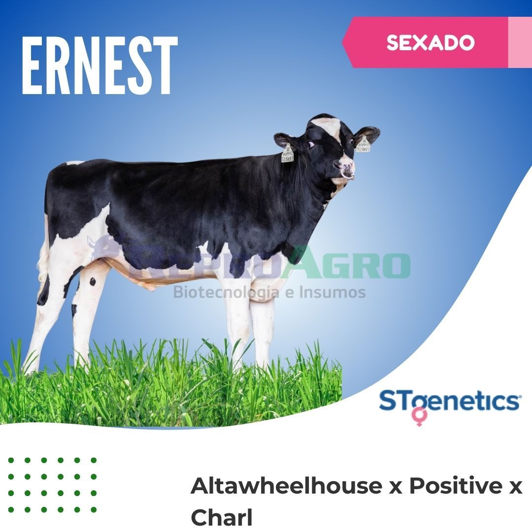 ERNEST SEXADO