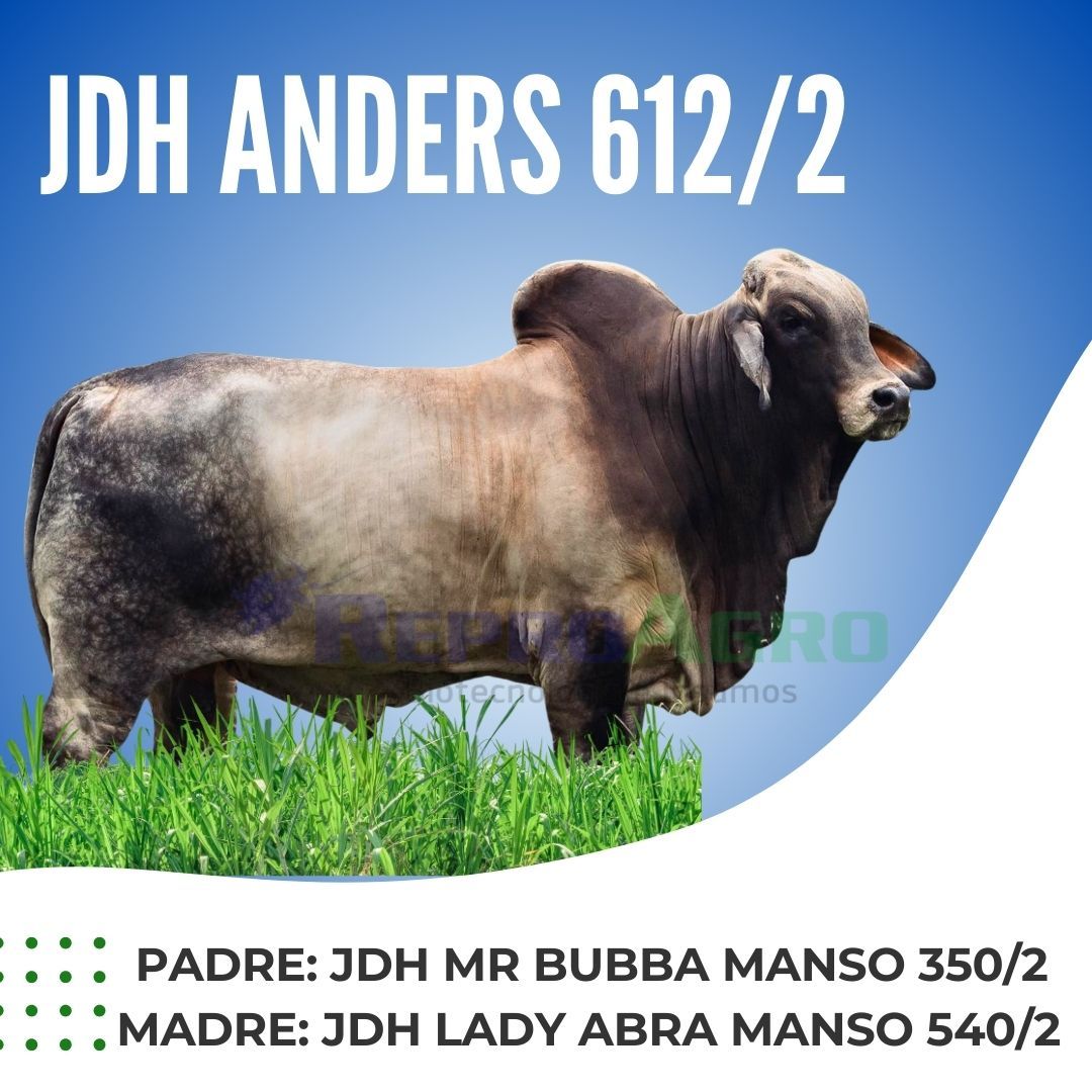 JDH ANDERS