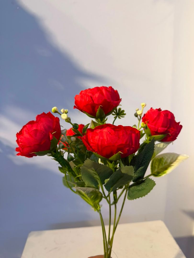 PEONIA X 5 ROJO