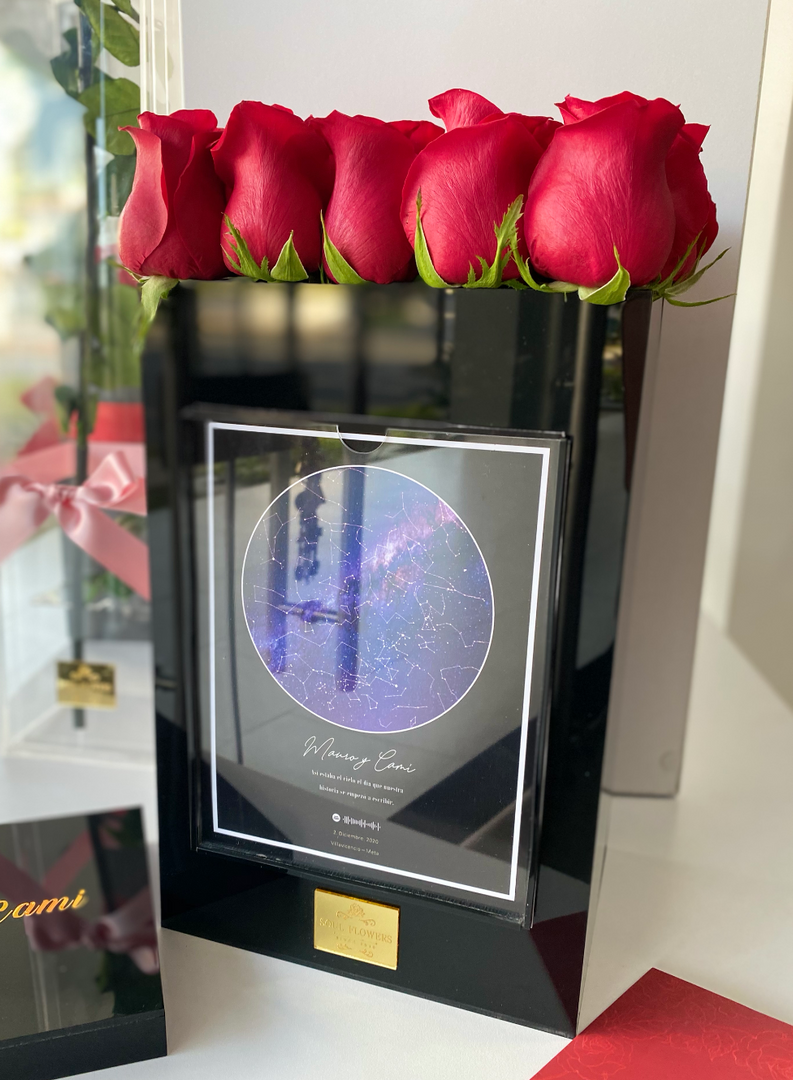 MAPA ESTELAR TRADICIONAL