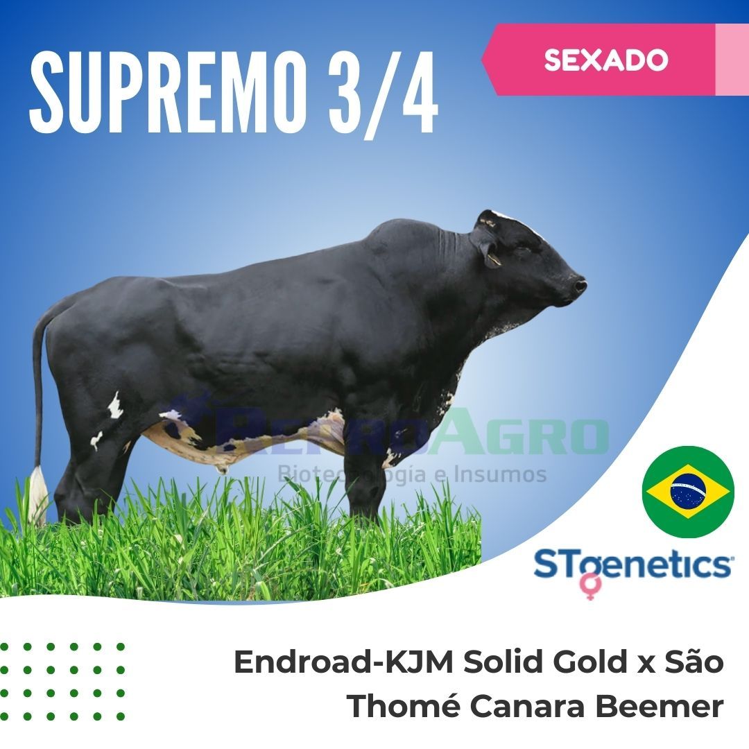 SUPREMO SEXADO
