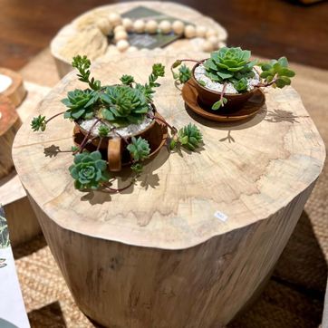 TRONCOS MESA DE CENTRO  - imagen 2