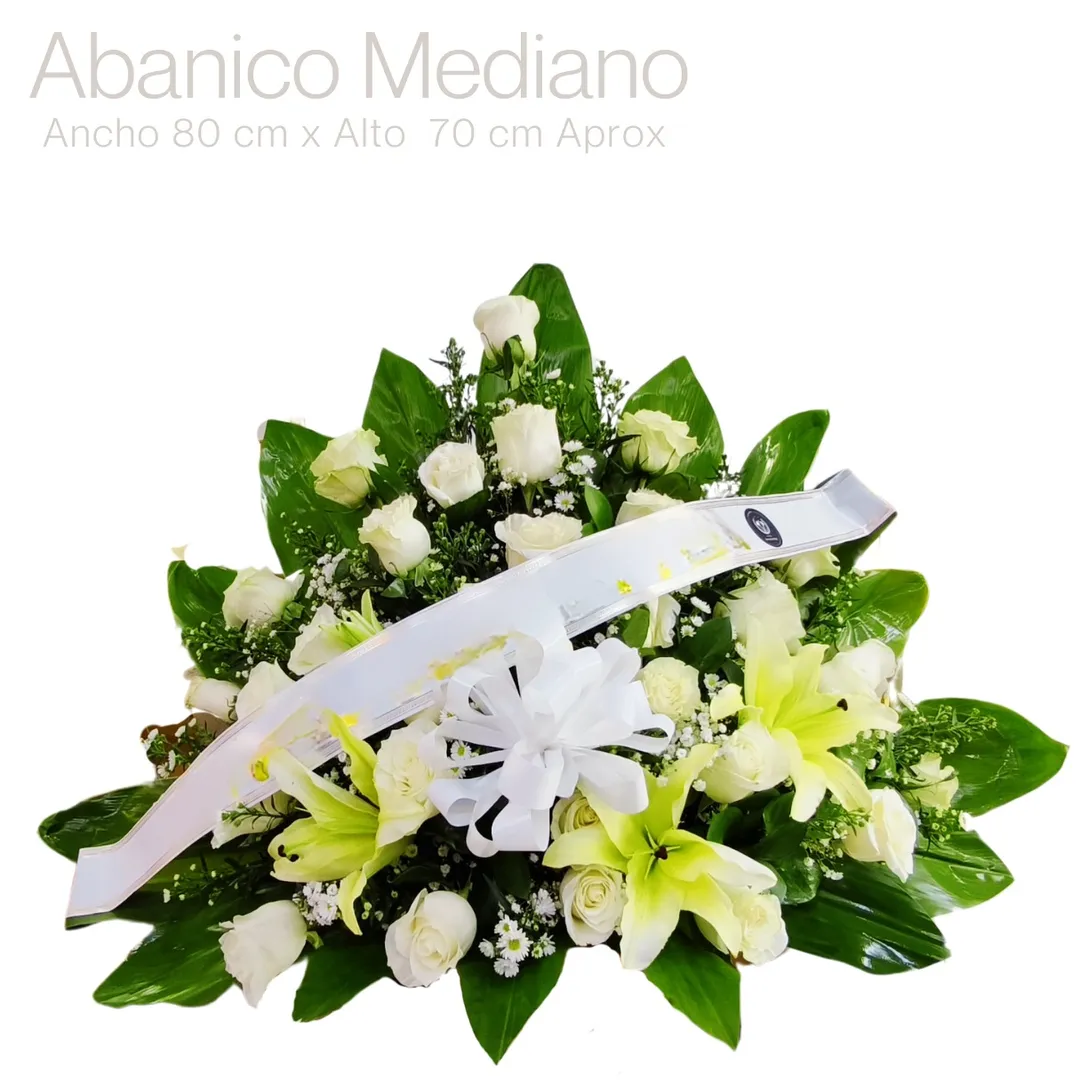 RAMO ABANICO MEDIANO