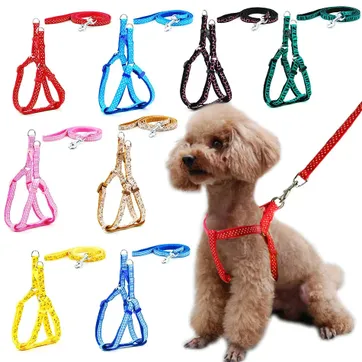 Imagen del producto PECHERA PERRO