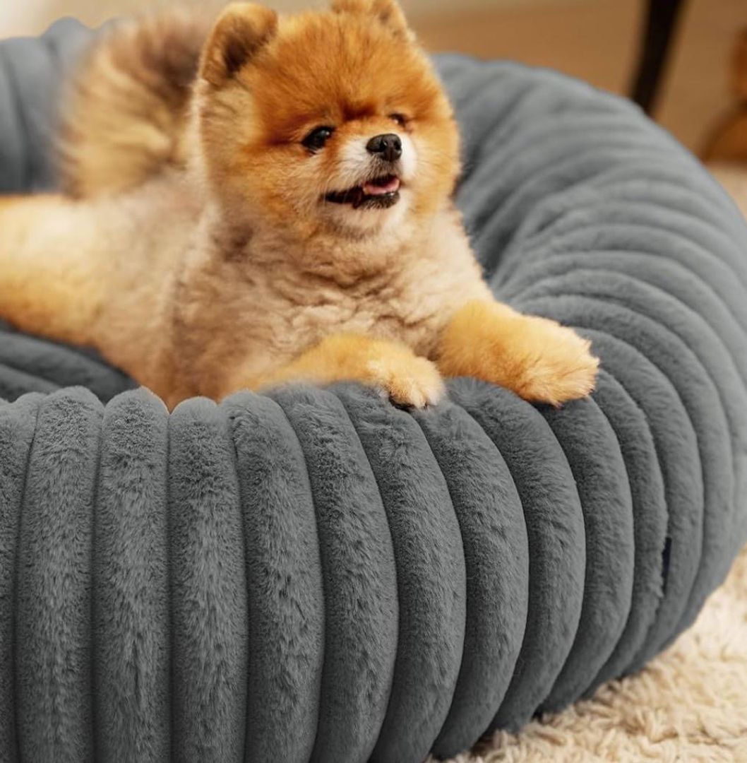 Cama para perro tipo "donut"