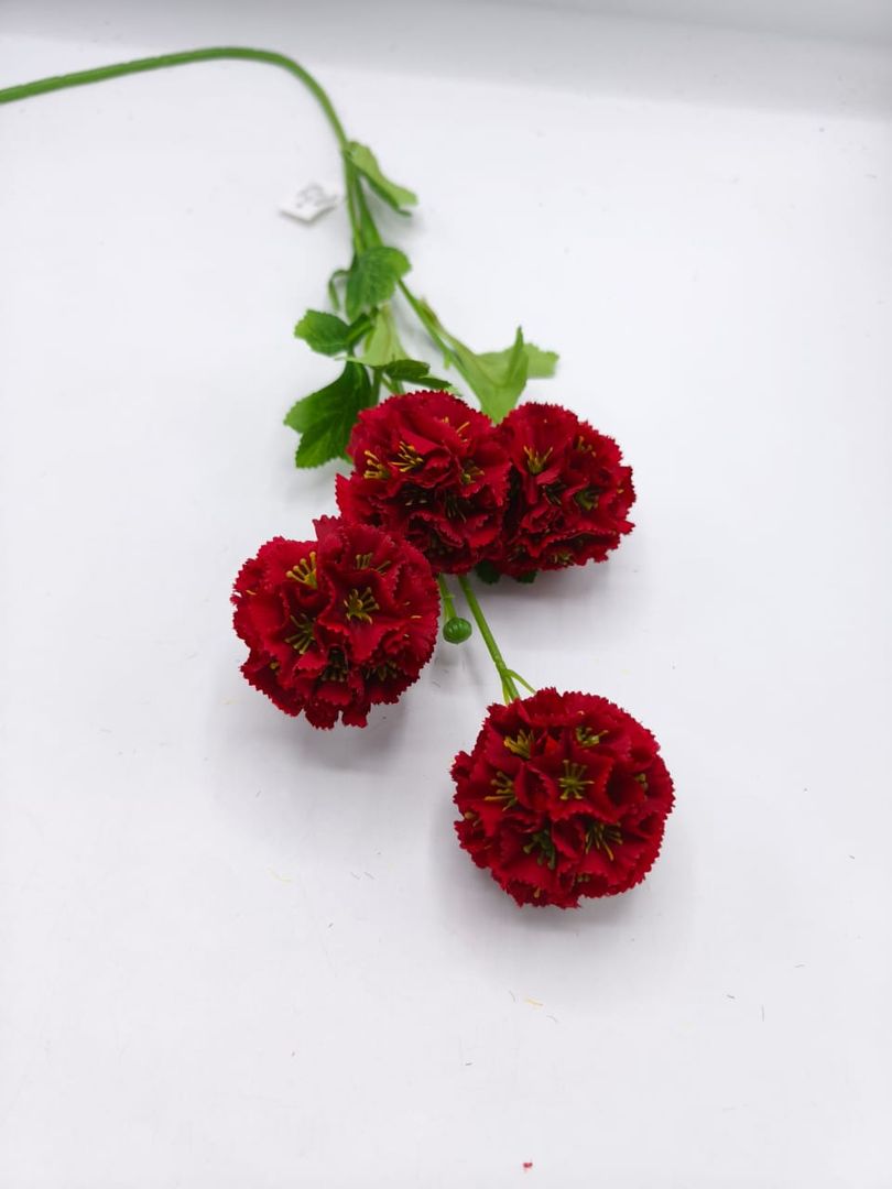 CHAMIZO POMPON RS/136