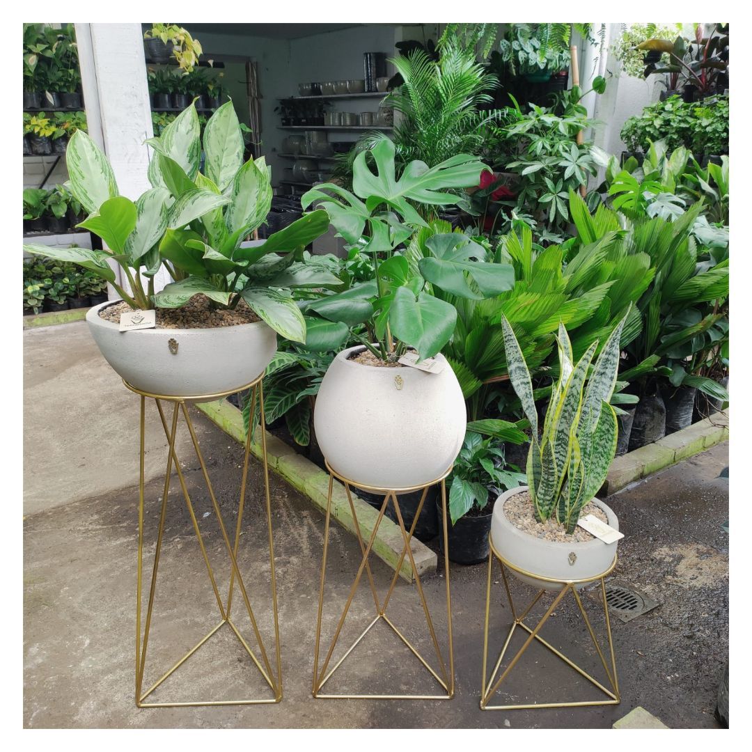 PROMO ARMA TU COMBO SOPORTES  