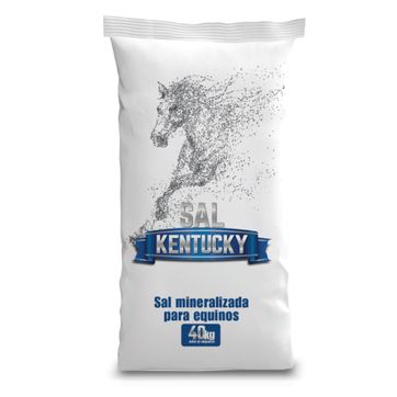 SAL KENTUCKY X 20 KLOS - imagen 1