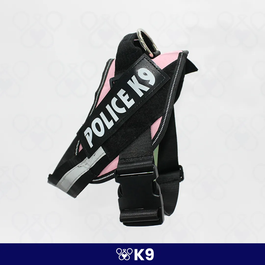 K9-