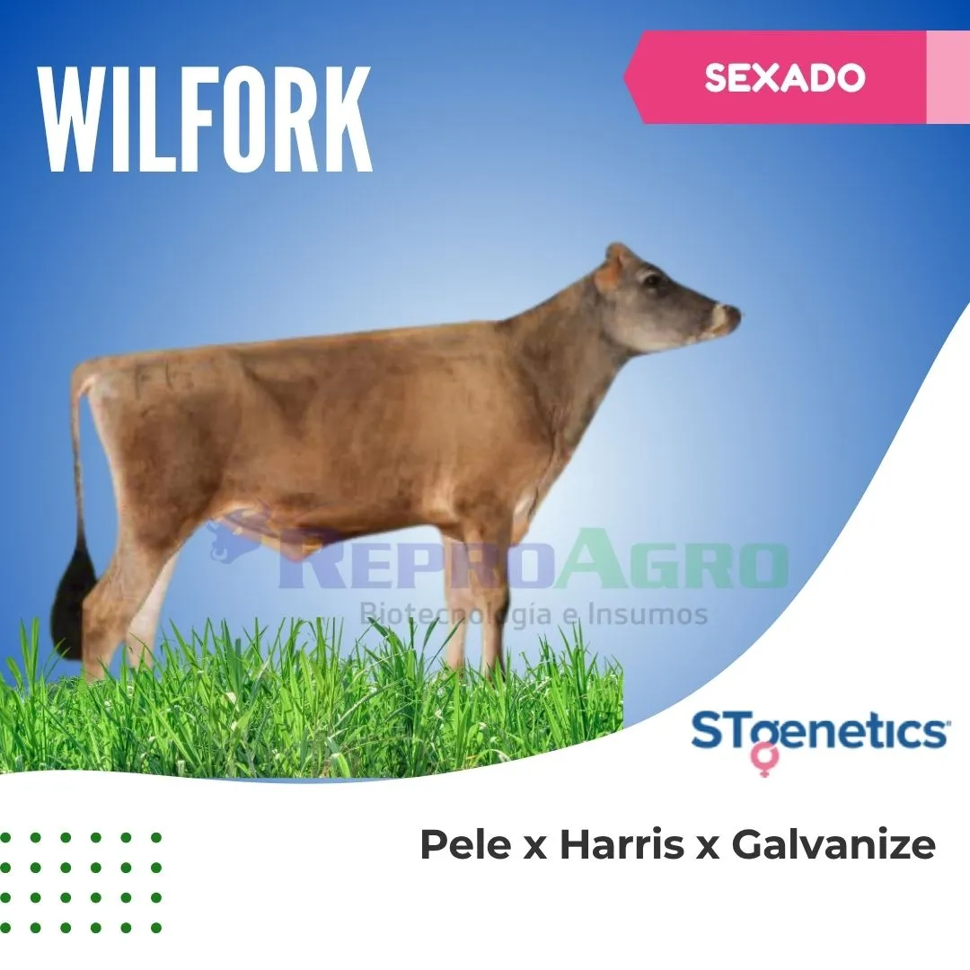 WILFORK SEXADO