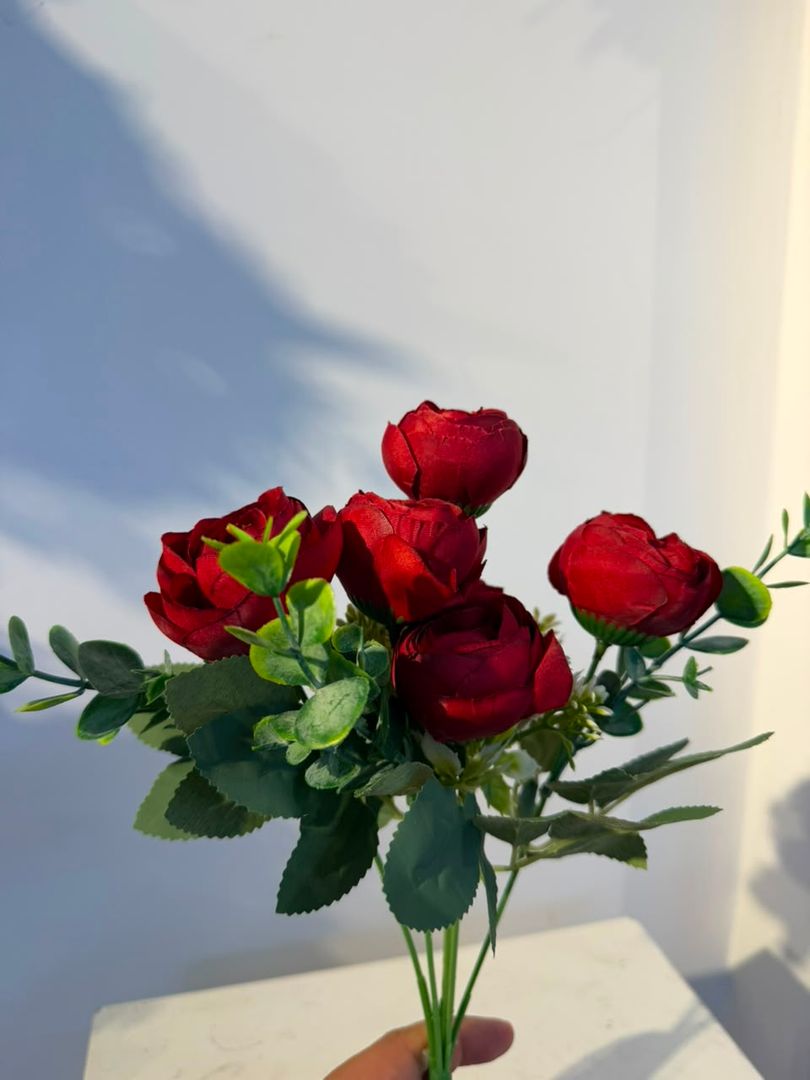 PEONIA X 6 ROJA