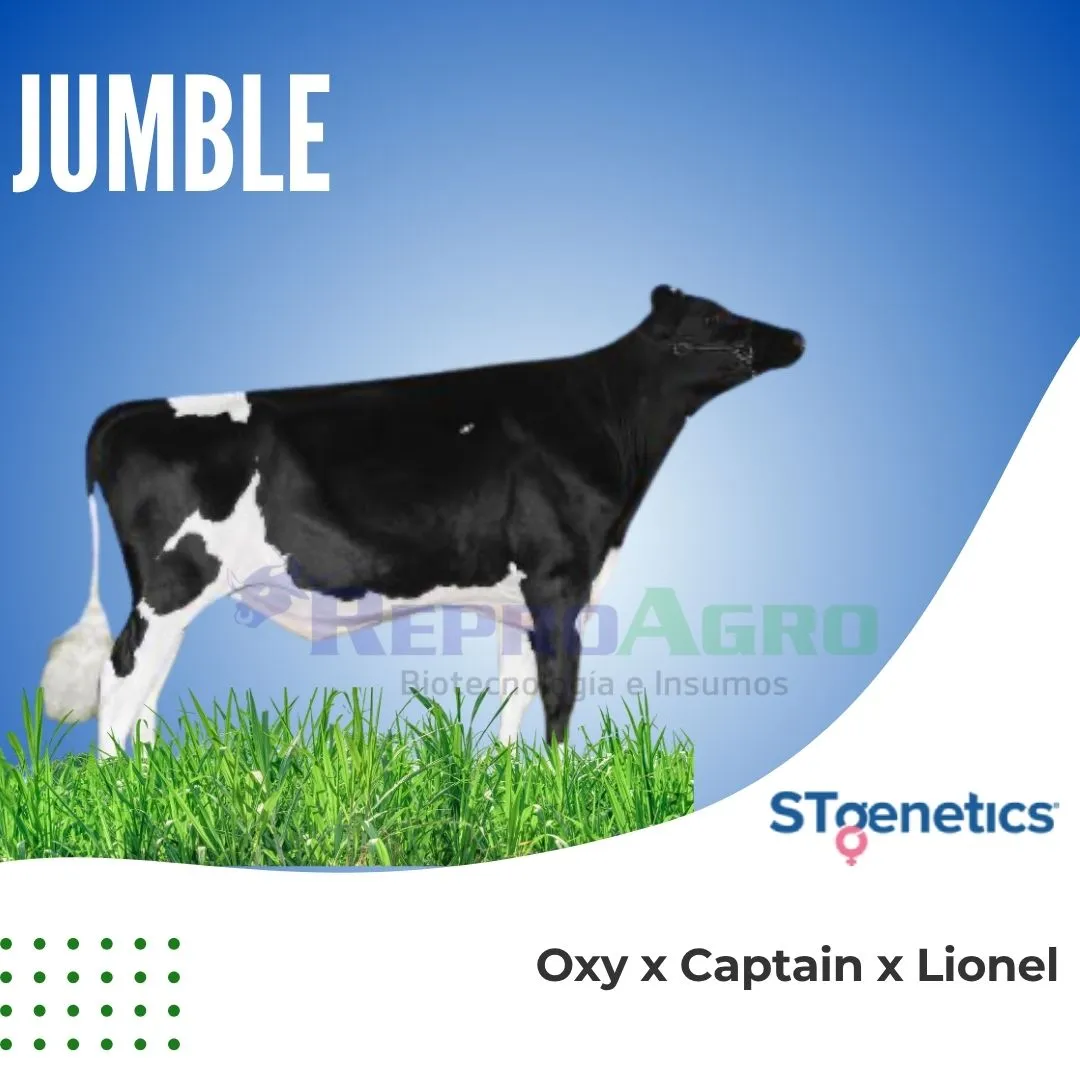 JUMBLE