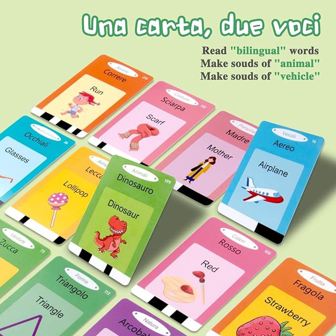 FLASH CARD DINOSAURIO BI 
