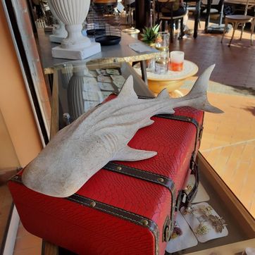 Tiburón  - imagen 1