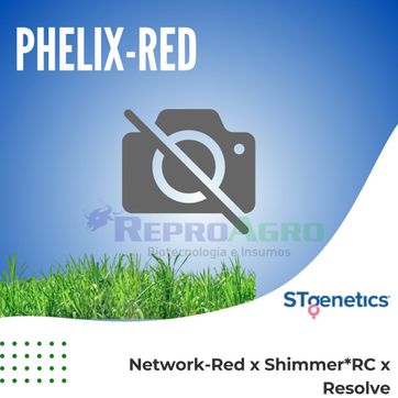PHELIX RED - imagen 1
