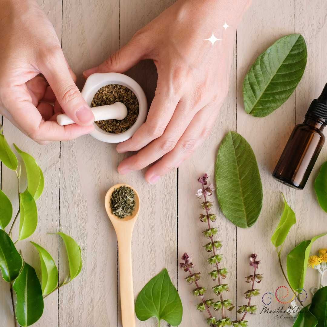 Insecticidas naturales