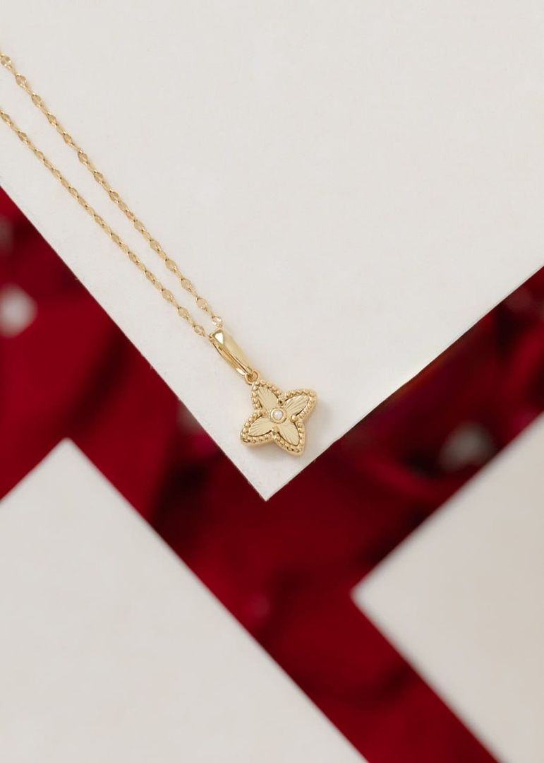 Conjunto Louis Vuitton 