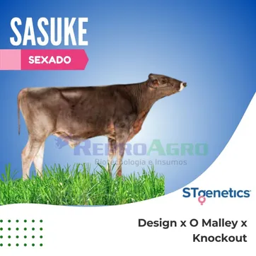 SASUKE SEXADO - imagen 1