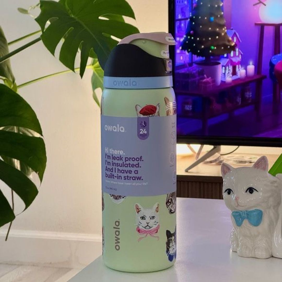 Termo owala cat 