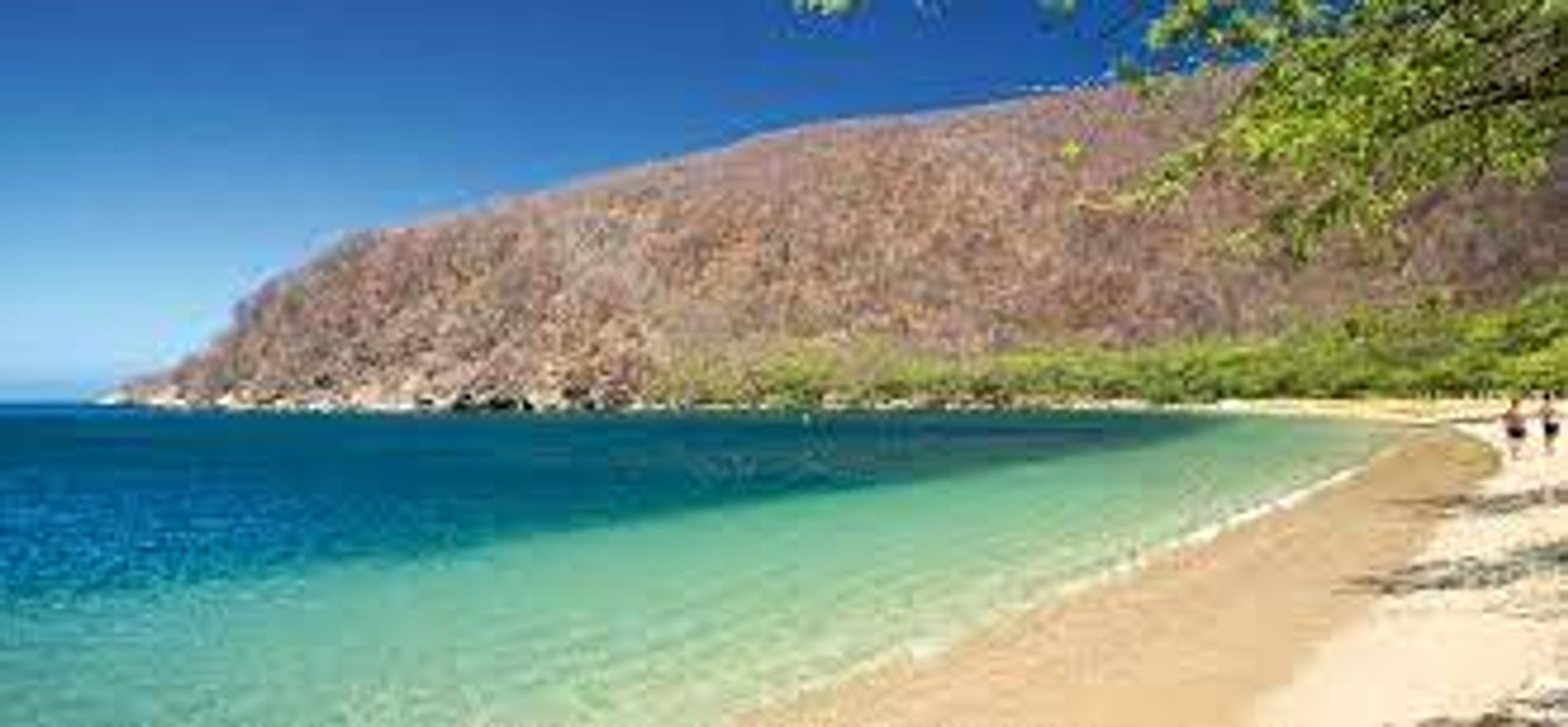 BAHIA CONCHA - TERRESTRE