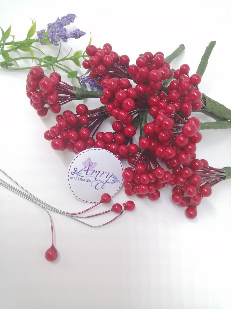 24 Pistilos Grandes Rojos Navidad 