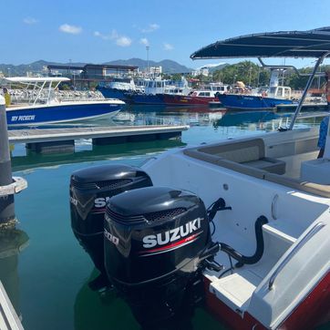 LANCHA DUCHAMP - imagen 5