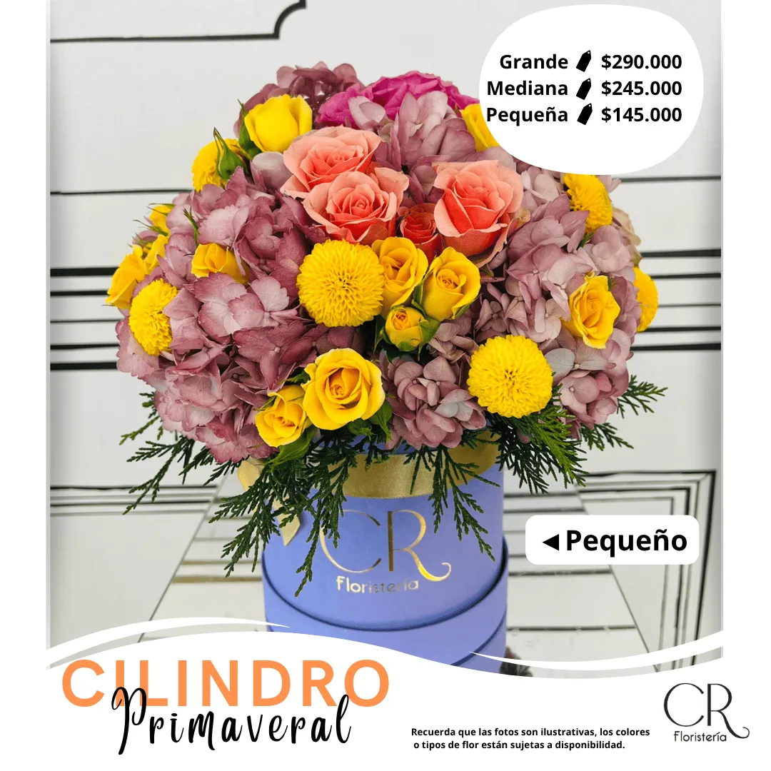 Cilindro Deluxe Primaveral