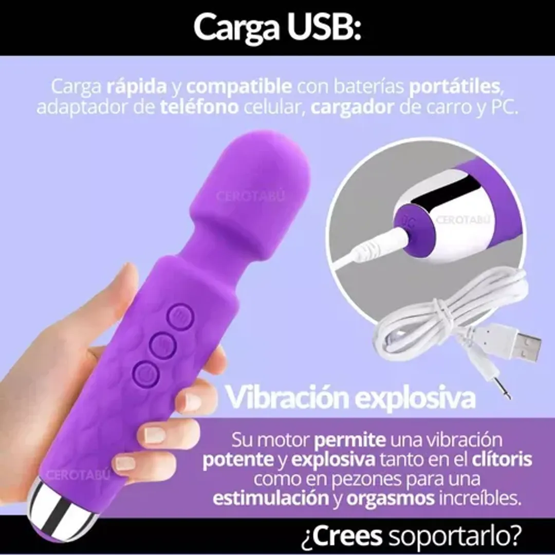 Hitachi Vibrador AV Wand002