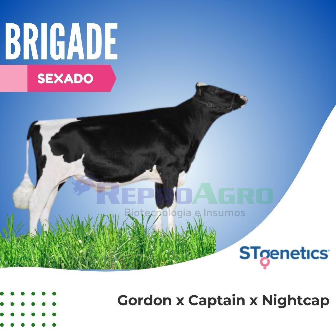 BRIGADE SEXADO