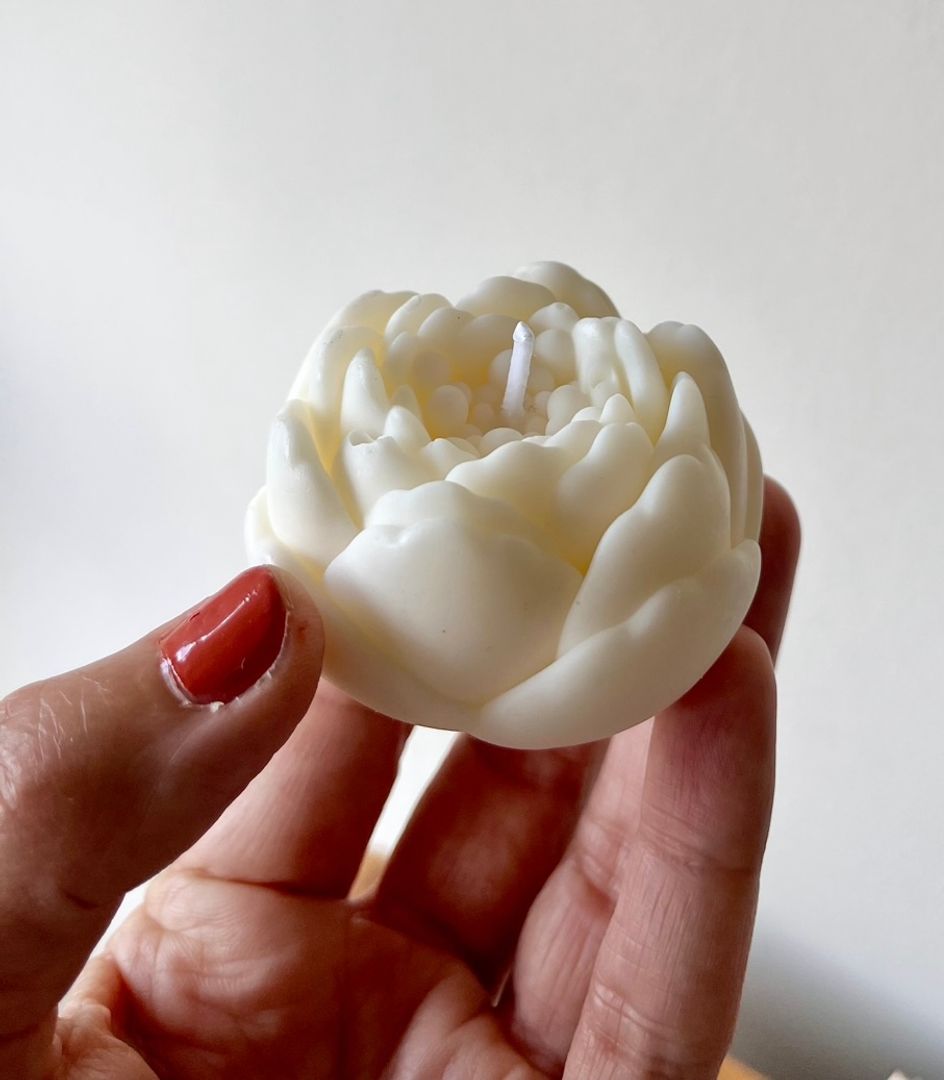 Set Obsequio Canastito Fibras Naturales 